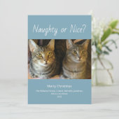 Stoute of leuke Schattigee katten Foto Familie Ker Feestdagenkaart (Staand voorkant)