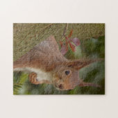 Stoute rode eekhoorn legpuzzel (Horizontaal)