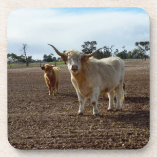 Stoute Schotse Hooglanders Aten Gewas, Set Onderze Bier Onderzetter