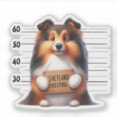 Stoute Shetland Sheepdog Sticker (Voorkant)