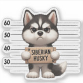 Stoute Siberische Husky  Sticker (Voorkant)