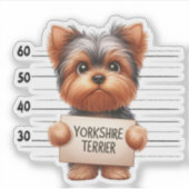 Stoute Yorkshire Terrier Sticker (Voorkant)
