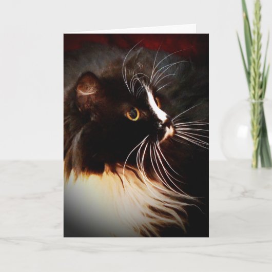 Straal maanlicht - de Kaart van de Nota van de (Voorkant)