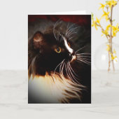 Straal maanlicht - de Kaart van de Nota van de (Gele Bloem)