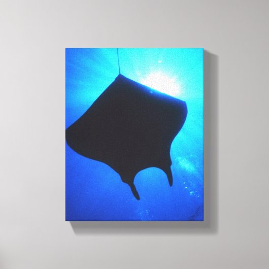 STRAAL MANTA CANVAS AFDRUK (Voorkant)