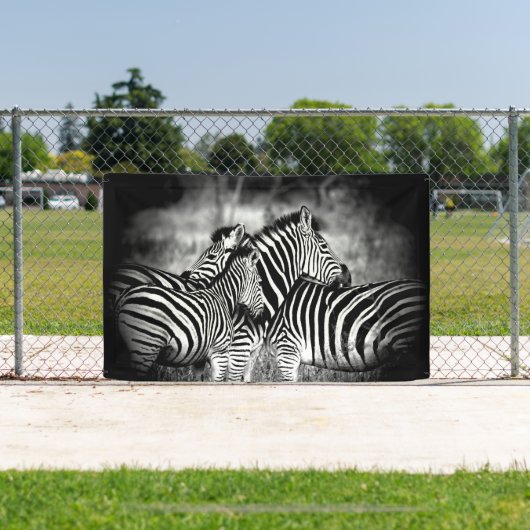 Straal van Zebra Spandoek (Insitu)