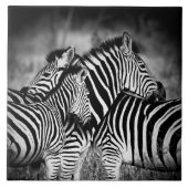 Straal van Zebra Tegeltje (Voorkant)