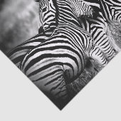 Straal van Zebra Tissuepapier (Detail)