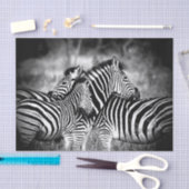 Straal van Zebra Tissuepapier (Craft)