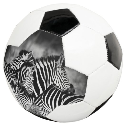 Straal van Zebra Voetbal (Drie kwart)