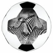 Straal van Zebra Voetbal (Voorkant)