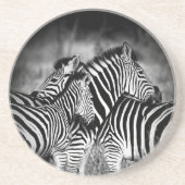 Straal van Zebra Zandsteen Onderzetter (Voorkant)