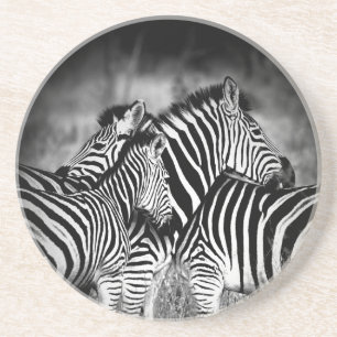 Straal van Zebra Zandsteen Onderzetter