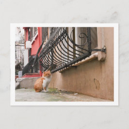 Straat 1 briefkaart