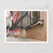 Straat 1 briefkaart (Voorkant)