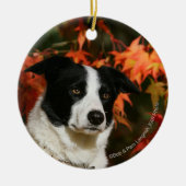 Straat Collie Autumn Keramisch Ornament (Voorkant)