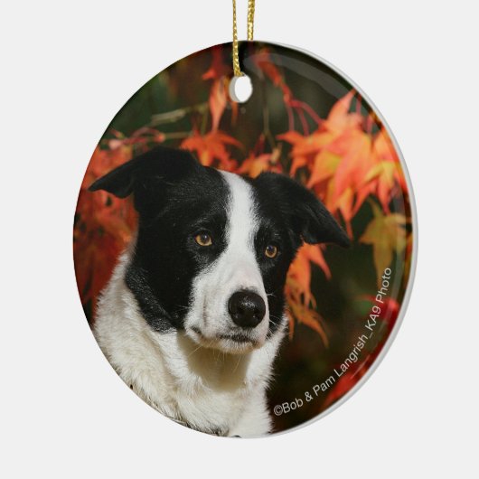 Straat Collie Autumn Keramisch Ornament (Links)