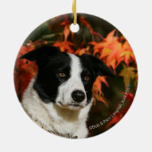 Straat Collie Autumn Keramisch Ornament (Achterkant)