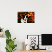 Straat Collie Autumn Poster (Thuiskantoor)