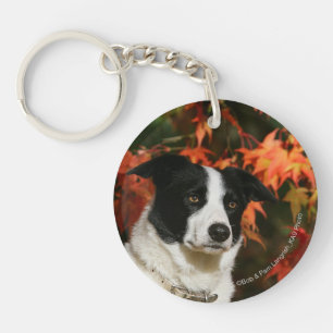Straat Collie Autumn Sleutelhanger