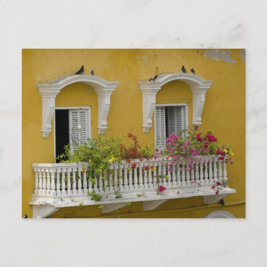 Straat in Cartagena Briefkaart (Voorkant)