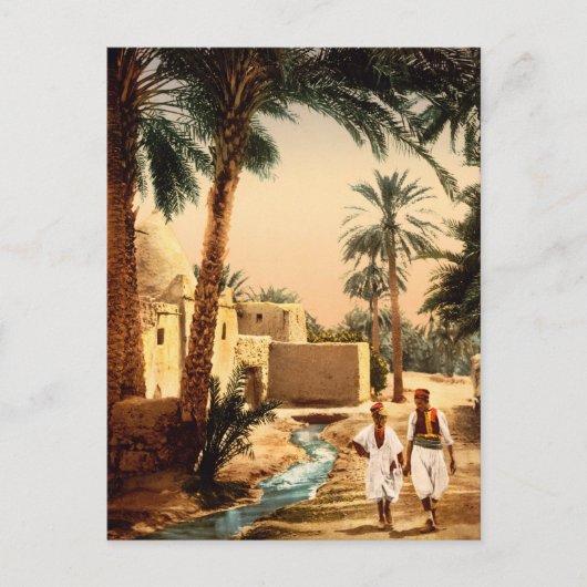 Straat in de oude stad Biskra, Algerije Briefkaart (Voorkant)