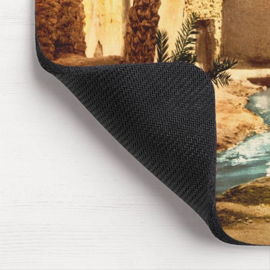 Straat in de oude stad Biskra, Algerije Muismat (Hoek)