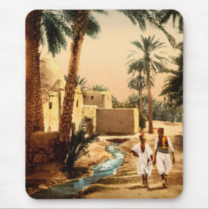 Straat in de oude stad Biskra, Algerije Muismat