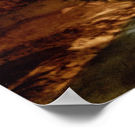 Straat in de oude stad Biskra Algerije Poster (Hoek)