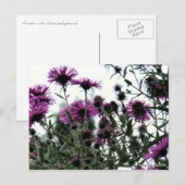 Straat met witte achtergrond briefkaart (Voorkant / Achterkant)