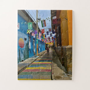 Straat van Vlaggen Latijns-Amerika's Feest Legpuzzel