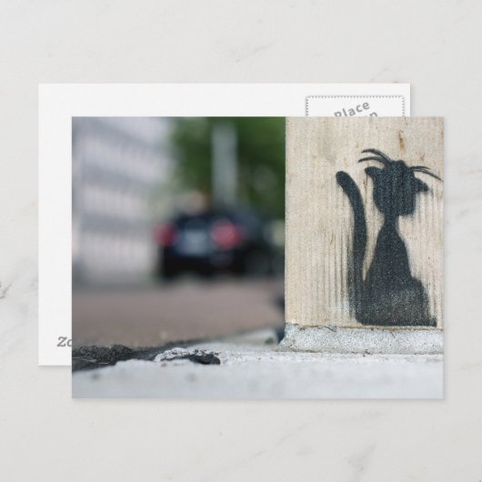 straatkat briefkaart (Voorkant / Achterkant)