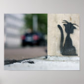 straatkat poster (Voorkant)