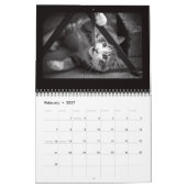 Straatkatfotografie Kalender (Feb 2027)