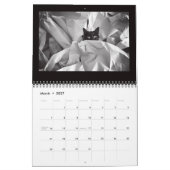 Straatkatfotografie Kalender (Mar 2027)