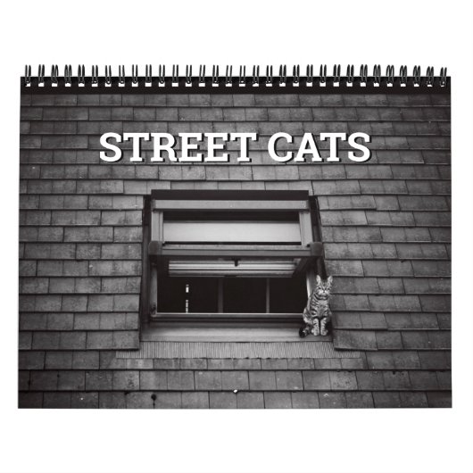Straatkatfotografie Kalender (Hoes)