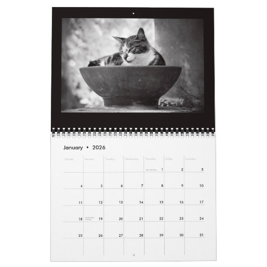 Straatkatfotografie Kalender (Jan 2026)