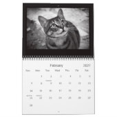 Straatkatten Kalender (Feb 2027)