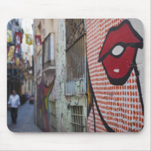 Straatkunst op Calle de la Libertad straat Muismat