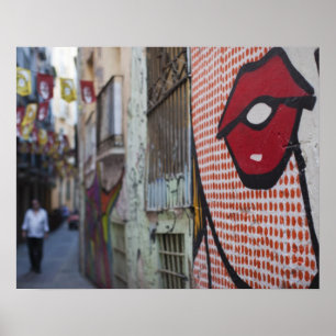 Straatkunst op Calle de la Libertad straat Poster