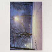 Straatlichten en bedekt met sneeuwbomen legpuzzel (Verticaal)