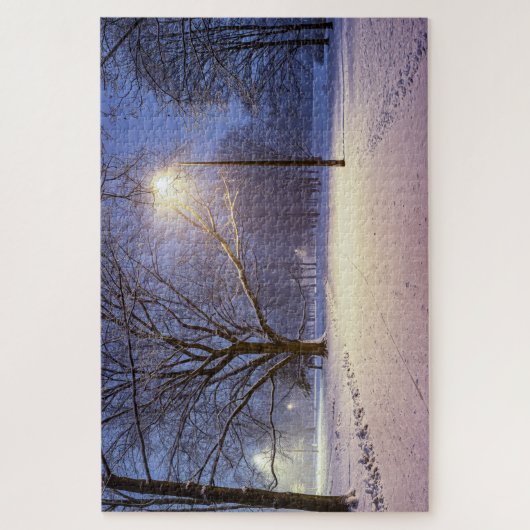 Straatlichten en bedekt met sneeuwbomen legpuzzel (Verticaal)