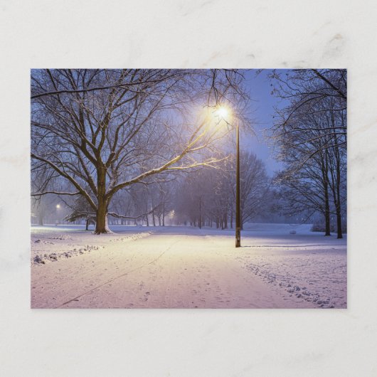 Straatlichten en sneeuwbomen briefkaart (Voorkant)
