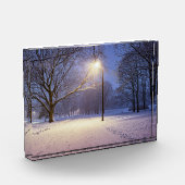 Straatlichten en sneeuwbomen fotoblokken (Links)