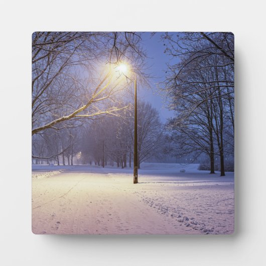 Straatlichten en sneeuwbomen fotoplaat (Voorkant)