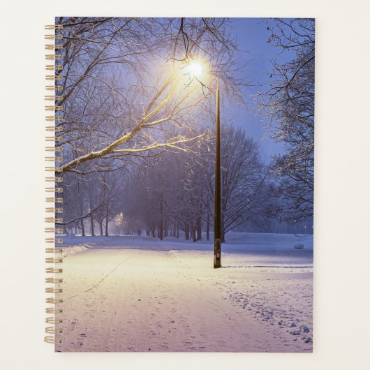 Straatlichten en sneeuwbomen planner (Voorkant)