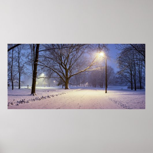 Straatlichten en sneeuwbomen poster (Voorkant)