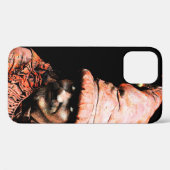 Straatprestaties 2 iPHCNA Case-Mate iPhone Case (Achterkant (horizontaal))