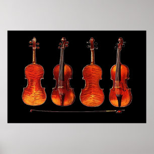 stradivariumviolen en boegachtig poster VANAF 8,99