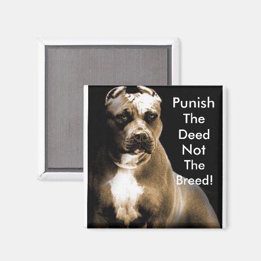 Straf de daad, niet het ras magneet (Voorkant / Achterkant)